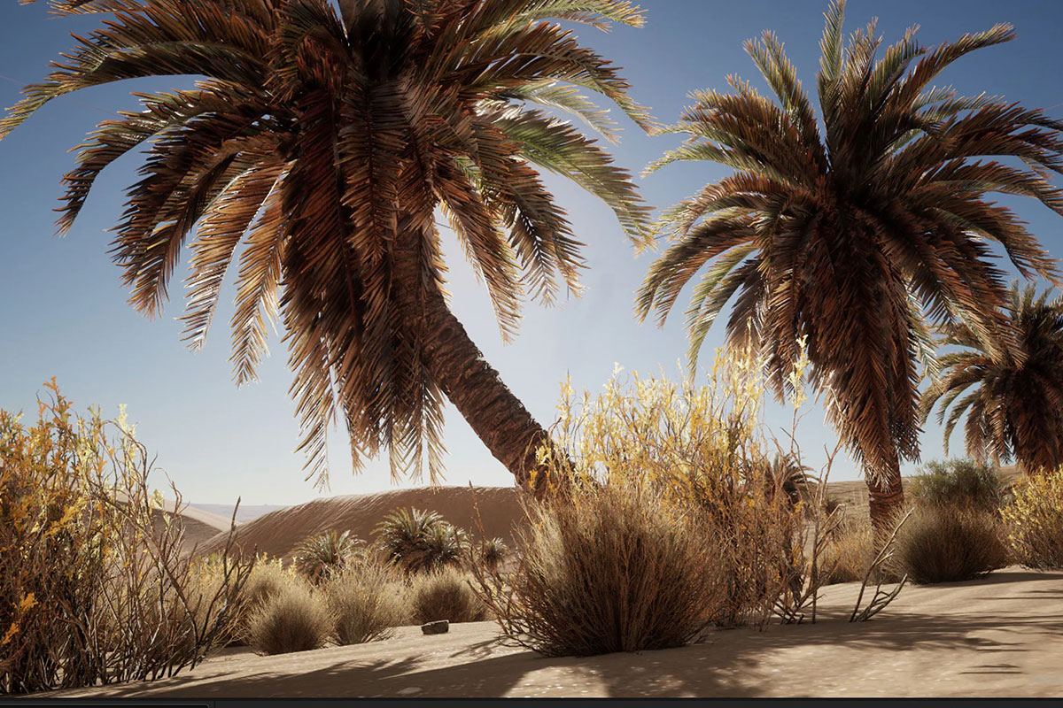 UE模型 优质沙漠特色植物草被场景素材 Unreal Engine – Desert Vegetation_img_2