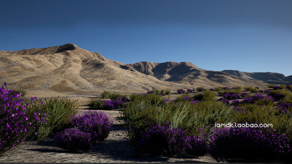 UE模型 优质沙漠特色植物草被场景素材 Unreal Engine – Desert Vegetation_img_2