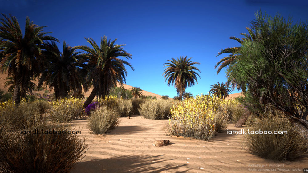 UE模型 优质沙漠特色植物草被场景素材 Unreal Engine – Desert Vegetation_img_2