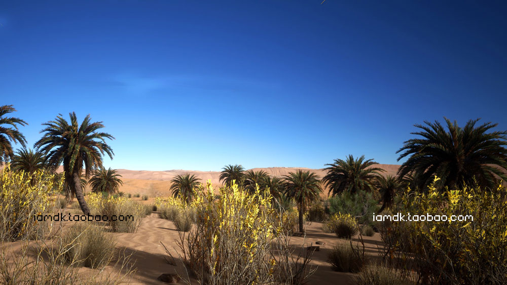 UE模型 优质沙漠特色植物草被场景素材 Unreal Engine – Desert Vegetation_img_2