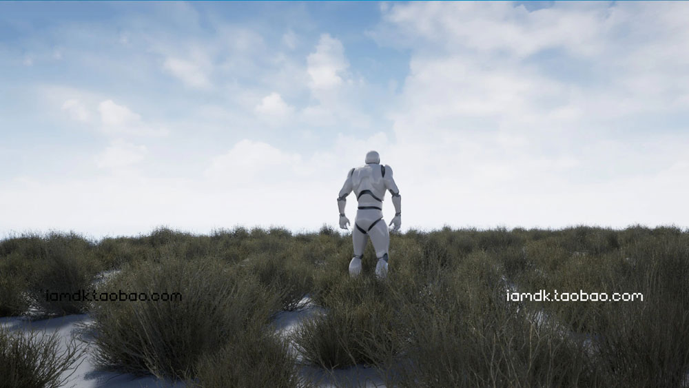 UE模型 优质沙漠特色植物草被场景素材 Unreal Engine – Desert Vegetation_img_2