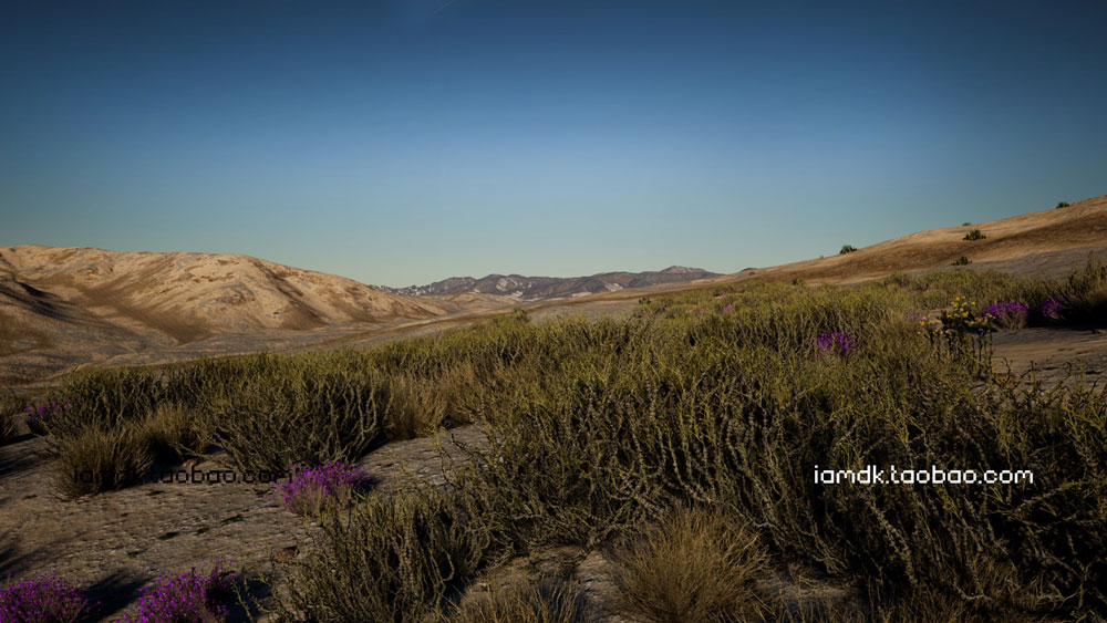 UE模型 优质沙漠特色植物草被场景素材 Unreal Engine – Desert Vegetation_img_2