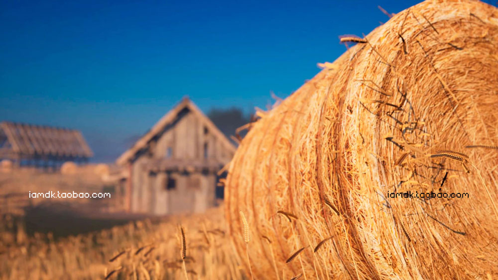 UE模型 复古中世纪木屋谷仓农场场景3D设计素材 Unreal Engine – Countryside Windmills & Barns_img_2