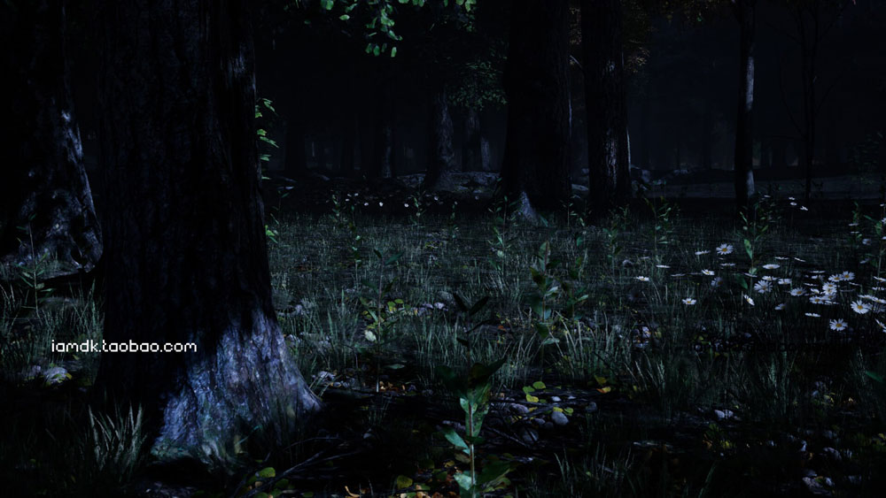 UE模型 逼真夏天森林岩石树枝树叶草老树3D素材 Unreal Engine – Shady Forest_img_2