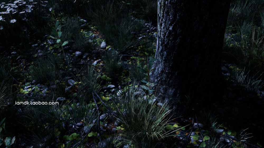 UE模型 逼真夏天森林岩石树枝树叶草老树3D素材 Unreal Engine – Shady Forest_img_2