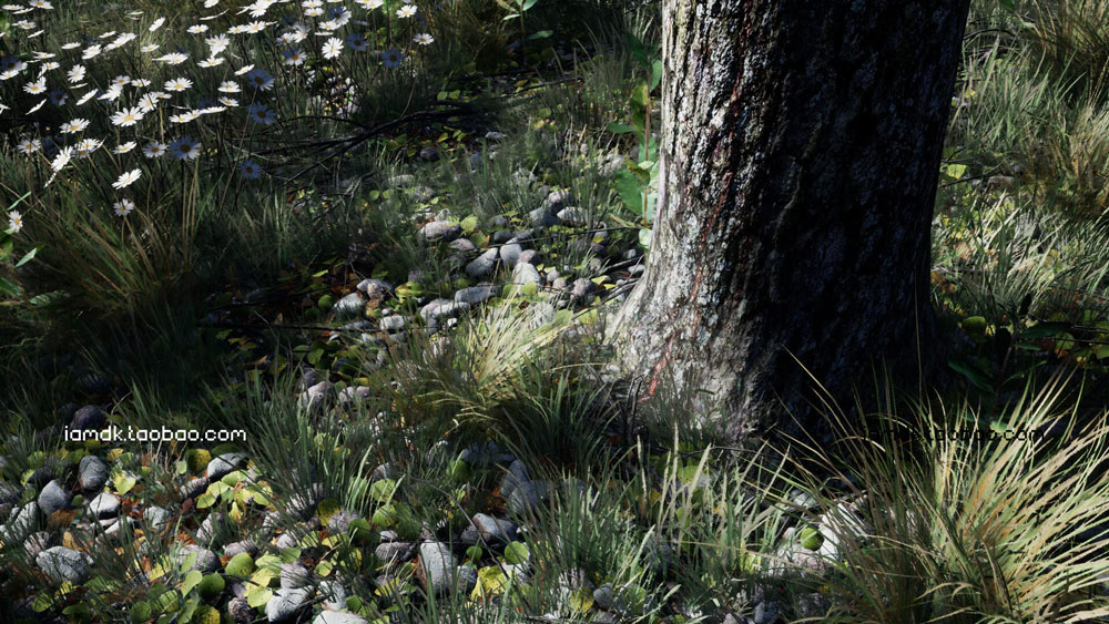 UE模型 逼真夏天森林岩石树枝树叶草老树3D素材 Unreal Engine – Shady Forest_img_2