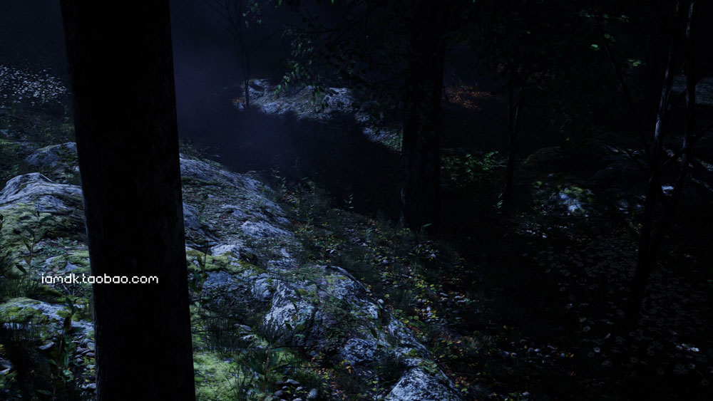 UE模型 逼真夏天森林岩石树枝树叶草老树3D素材 Unreal Engine – Shady Forest_img_2