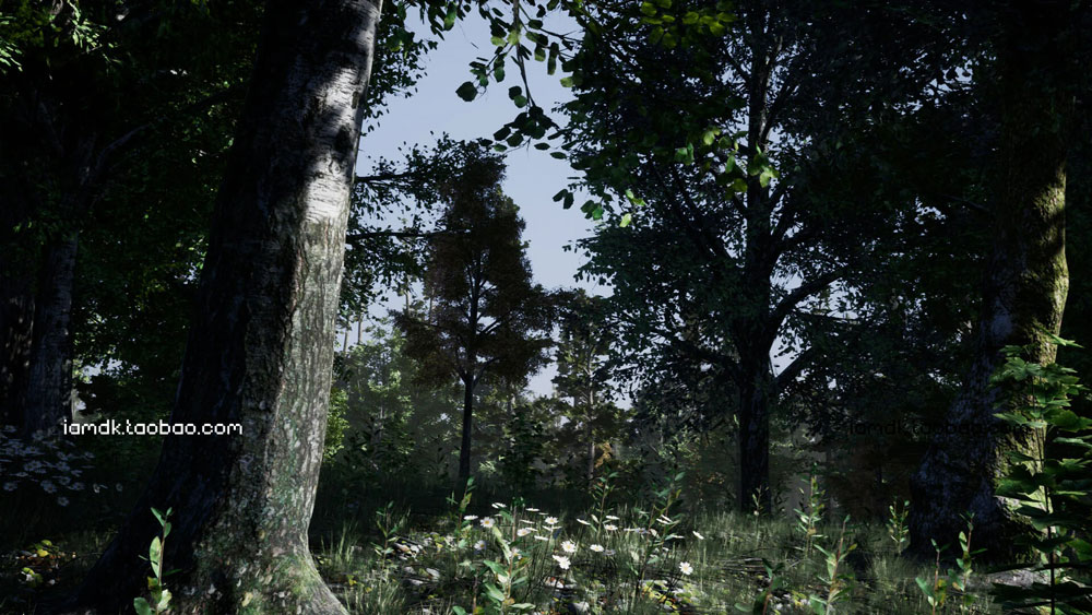 UE模型 逼真夏天森林岩石树枝树叶草老树3D素材 Unreal Engine – Shady Forest_img_2