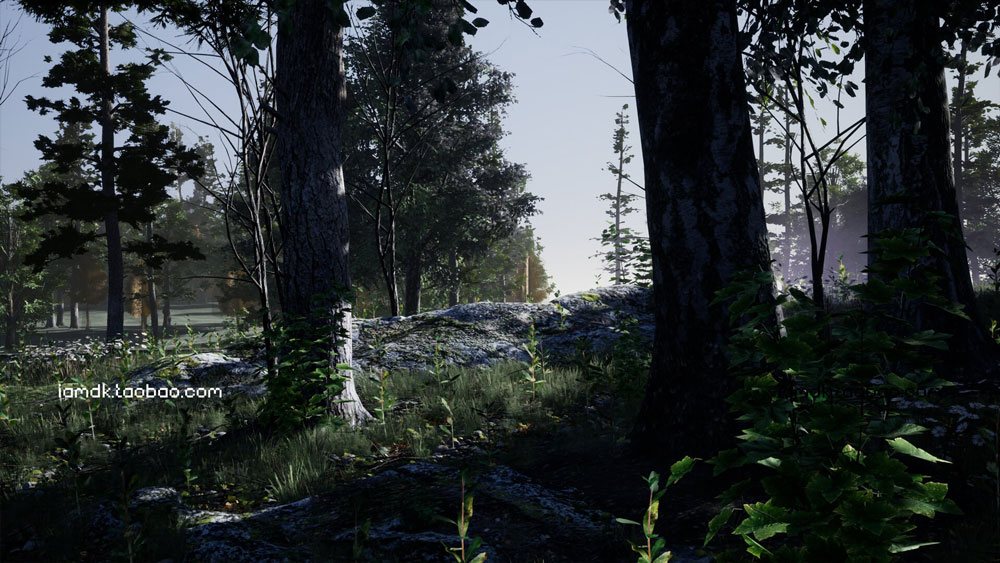 UE模型 逼真夏天森林岩石树枝树叶草老树3D素材 Unreal Engine – Shady Forest_img_2