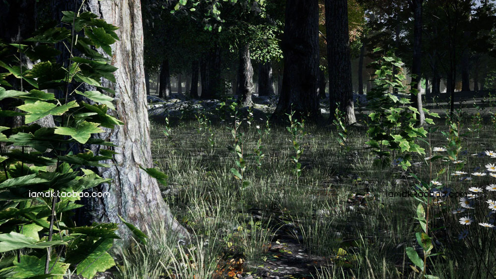 UE模型 逼真夏天森林岩石树枝树叶草老树3D素材 Unreal Engine – Shady Forest_img_2