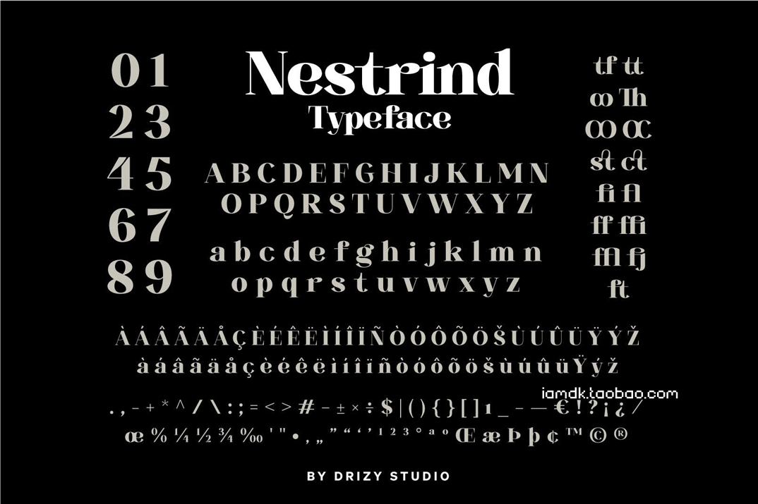 复古杂志海报标识设计衬线英文字体 Nestrind_img_2