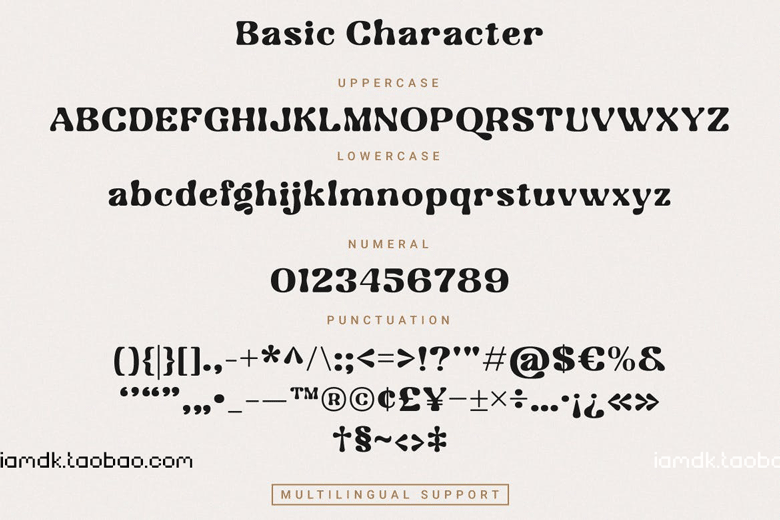 现代复古品牌海报标识设计衬线英文字体 Codigra - Modern Retro Font_img_2