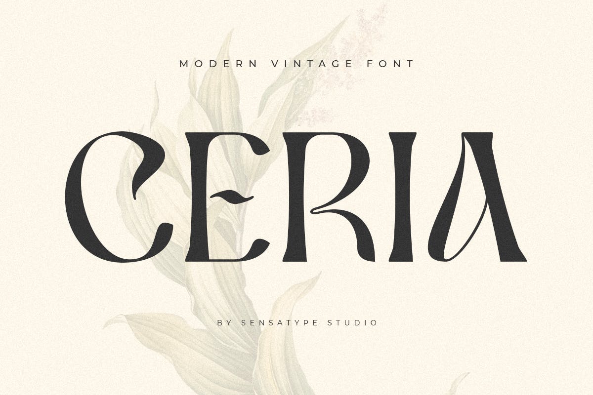 现代复古品牌标识徽标logo设计衬线英文字体 Ceria - Modern Vintage Font_img_2