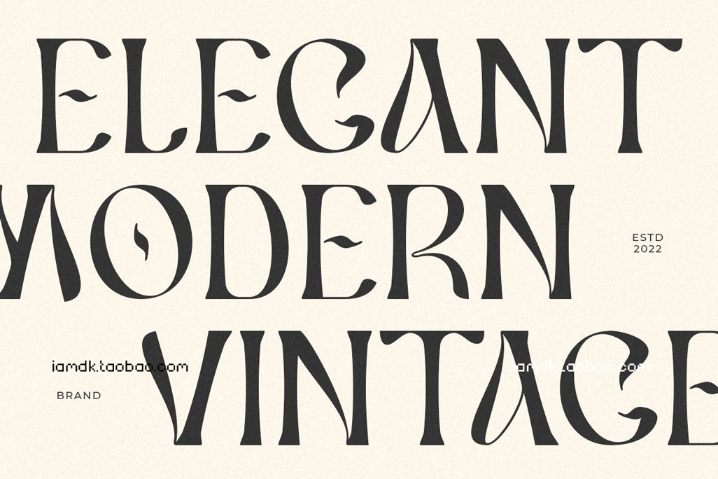 现代复古品牌标识徽标logo设计衬线英文字体 Ceria - Modern Vintage Font_img_2