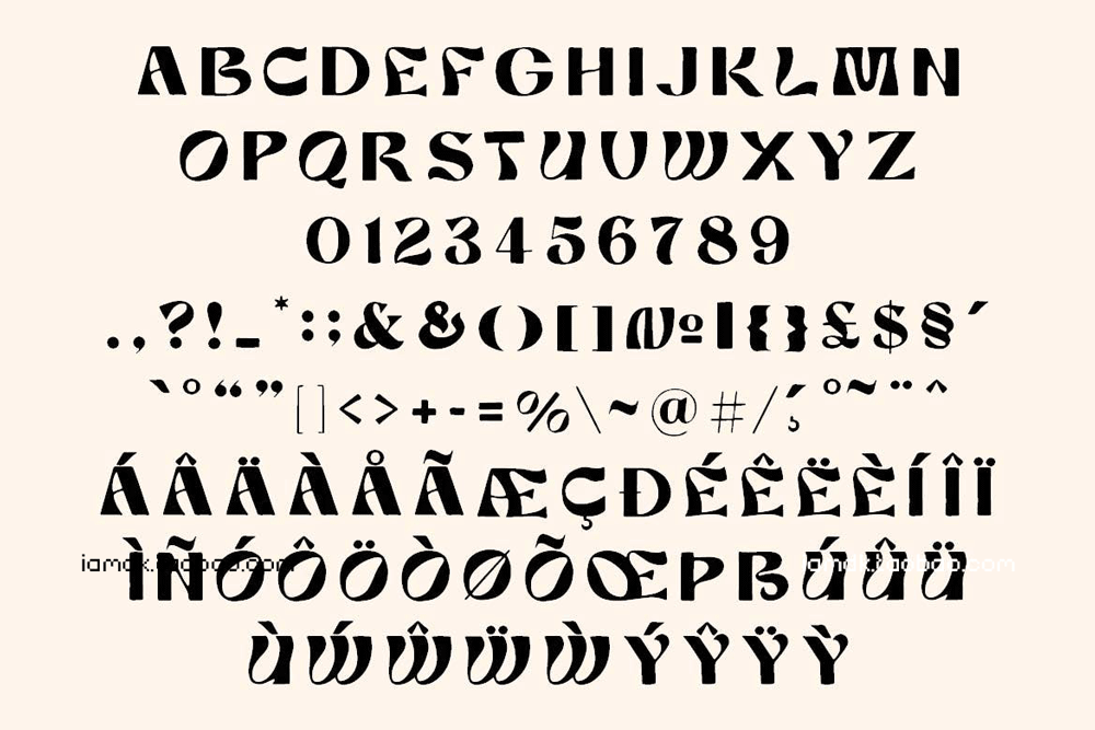 现代复古杂志海报徽标logo设计装饰性英文字体 Liber retro font_img_2