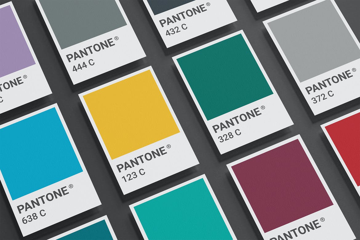 12个逼真卡片名片贺卡设计展示贴图样机模板素材 Pantone Card Mock-up_img_2