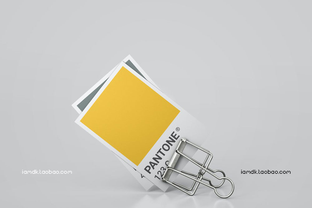 12个逼真卡片名片贺卡设计展示贴图样机模板素材 Pantone Card Mock-up_img_2