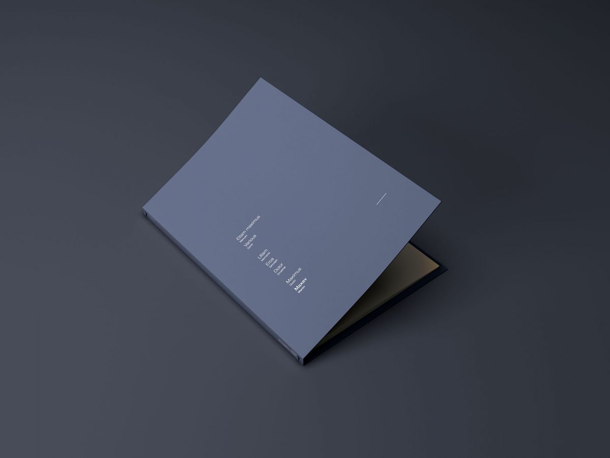 A4办公文件夹封面设计PS贴图展示样机模板 A4 Branding Folder Mockup_img_3