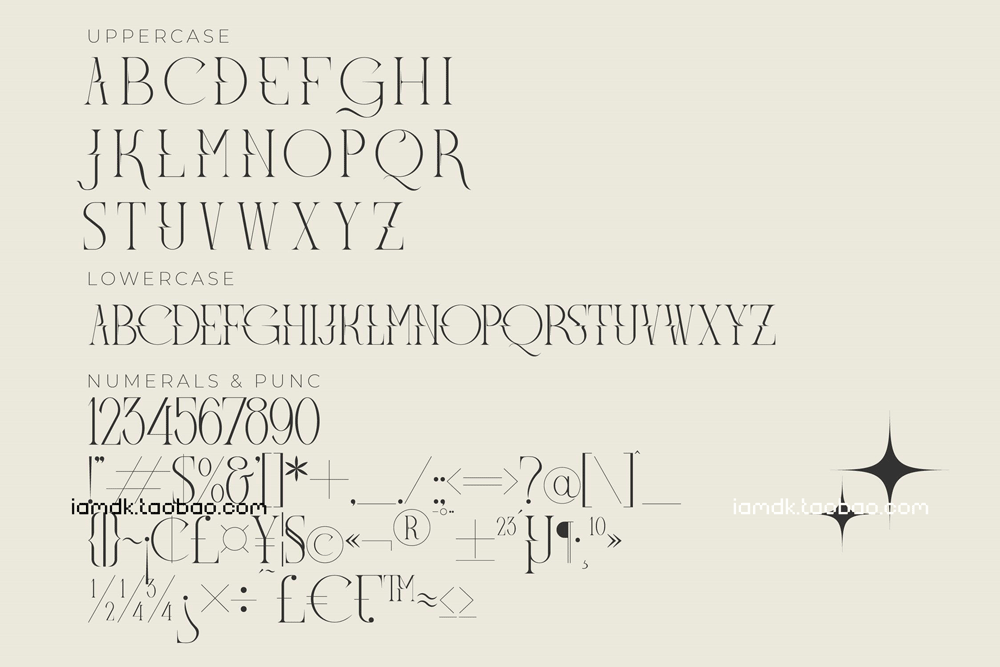 现代优雅品牌标识海报设计衬线英文字体 Meglona Modern Display Font_img_2