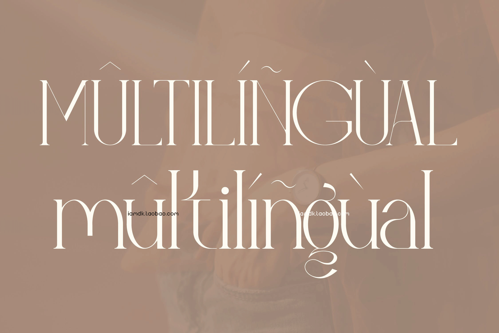 时尚海报品牌标识设计衬线英文字体 Relyagih Stylish Serif Font LS_img_2