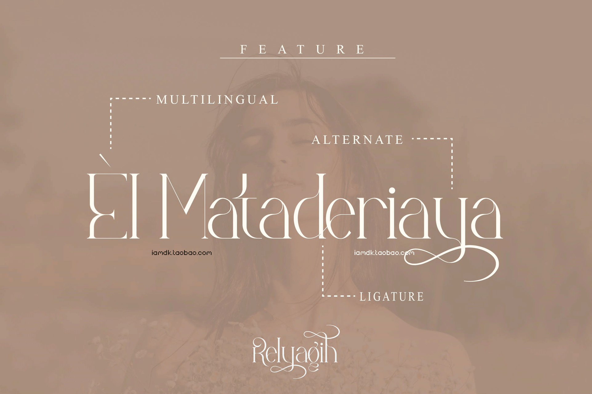 时尚海报品牌标识设计衬线英文字体 Relyagih Stylish Serif Font LS_img_2