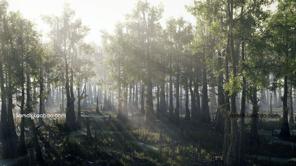 UE模型 沼泽草地树木秃头柏树3D设计素材 Unreal Engine – Bald Cypress Swamp_img_2