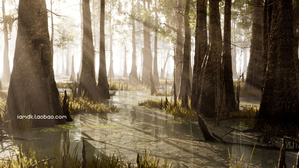 UE模型 沼泽草地树木秃头柏树3D设计素材 Unreal Engine – Bald Cypress Swamp_img_2