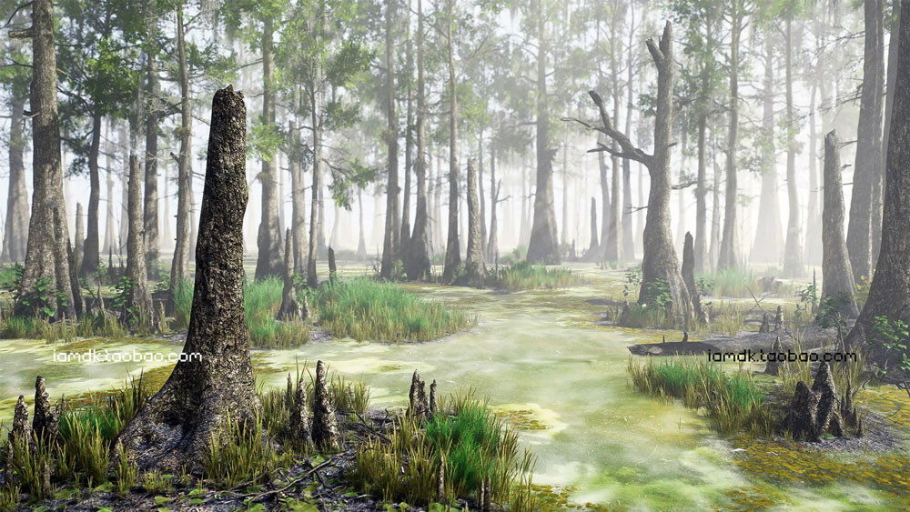 UE模型 沼泽草地树木秃头柏树3D设计素材 Unreal Engine – Bald Cypress Swamp_img_2