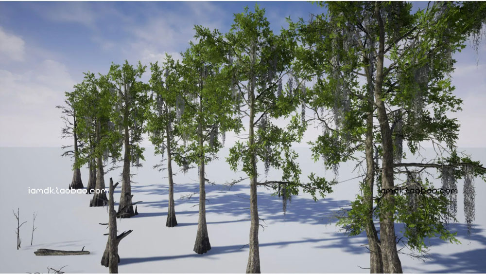 UE模型 沼泽草地树木秃头柏树3D设计素材 Unreal Engine – Bald Cypress Swamp_img_2