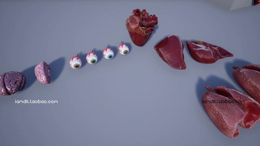 UE模型 人脑眼睛心肺肝脏牛肉3D设计素材 Unreal Engine – Internal Organs Collection_img_2