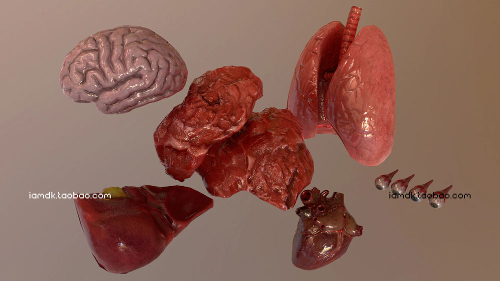 UE模型 人脑眼睛心肺肝脏牛肉3D设计素材 Unreal Engine – Internal Organs Collection_img_2