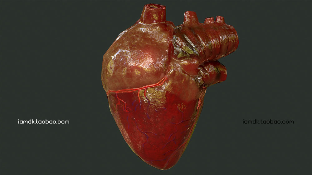 UE模型 人脑眼睛心肺肝脏牛肉3D设计素材 Unreal Engine – Internal Organs Collection_img_2