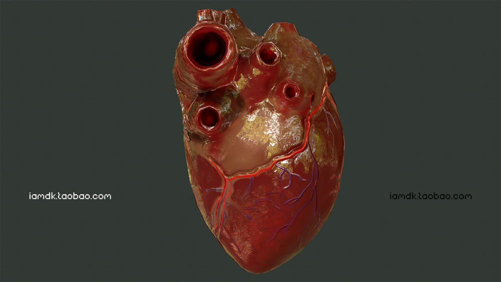 UE模型 人脑眼睛心肺肝脏牛肉3D设计素材 Unreal Engine – Internal Organs Collection_img_2