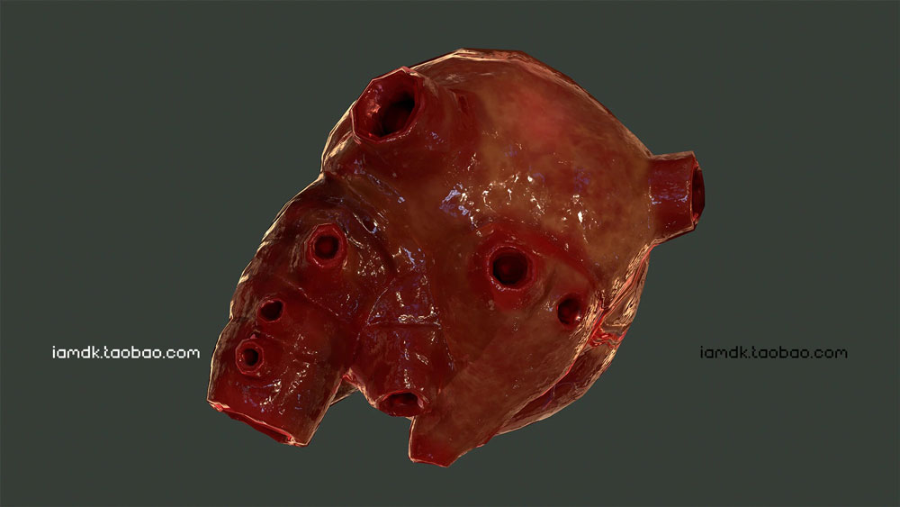 UE模型 人脑眼睛心肺肝脏牛肉3D设计素材 Unreal Engine – Internal Organs Collection_img_2