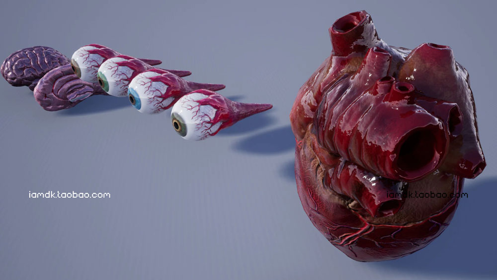 UE模型 人脑眼睛心肺肝脏牛肉3D设计素材 Unreal Engine – Internal Organs Collection_img_2