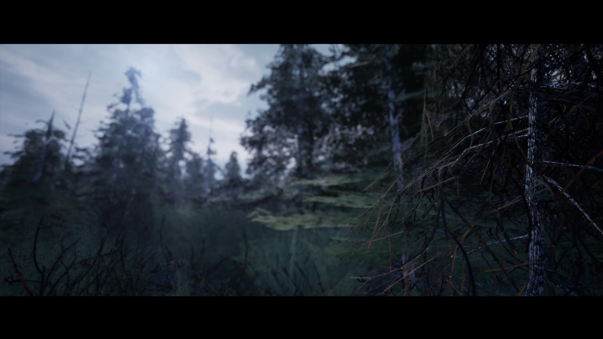 UE4模型 冬季雪地北欧森林针叶林松树云杉场景素材 Unreal Engine – Northern Forest_img_2