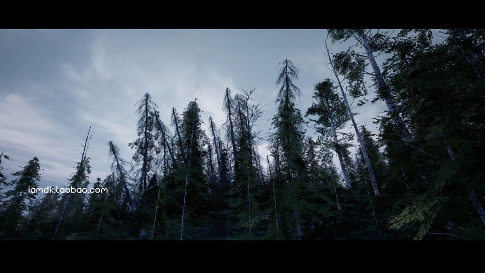 UE4模型 冬季雪地北欧森林针叶林松树云杉场景素材 Unreal Engine – Northern Forest_img_2