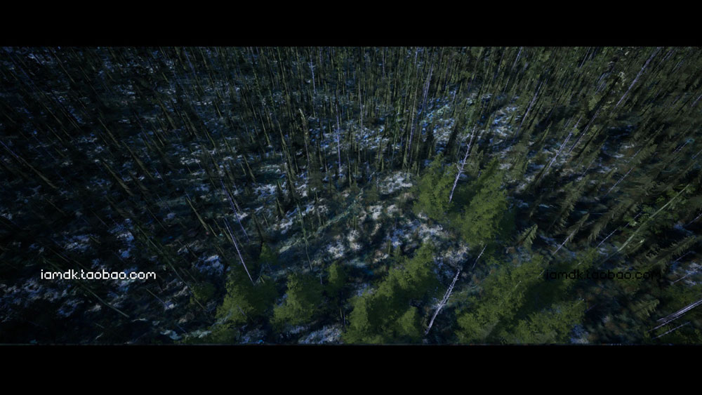 UE4模型 冬季雪地北欧森林针叶林松树云杉场景素材 Unreal Engine – Northern Forest_img_2