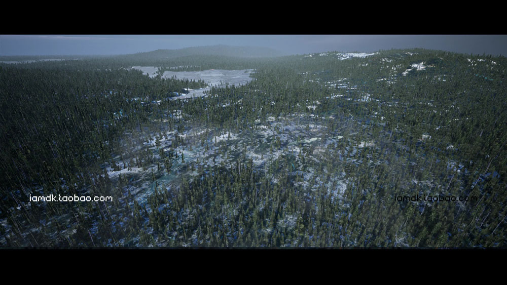 UE4模型 冬季雪地北欧森林针叶林松树云杉场景素材 Unreal Engine – Northern Forest_img_2