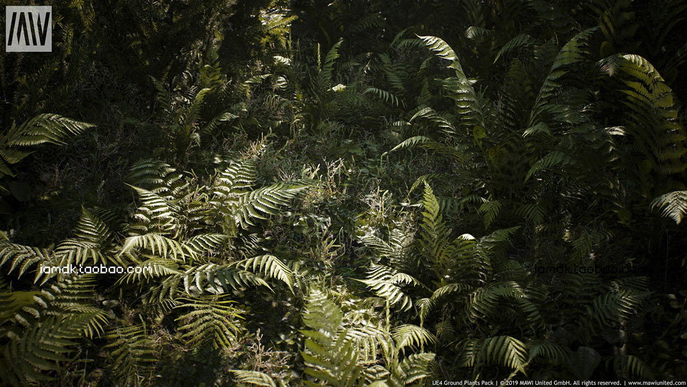 UE4模型 蕨类植物针叶林阔叶林树木场景素材 Unreal Engine – MW Interactive Foliage_img_2