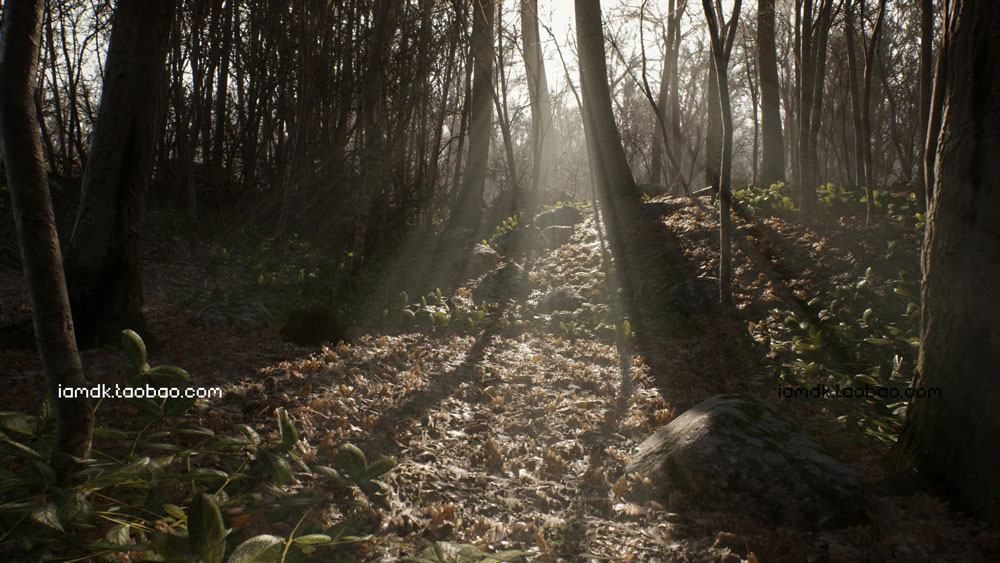 UE模板 森林林地植被河流岩石3D模型素材 Unreal Engine – Procedural Forest_img_2