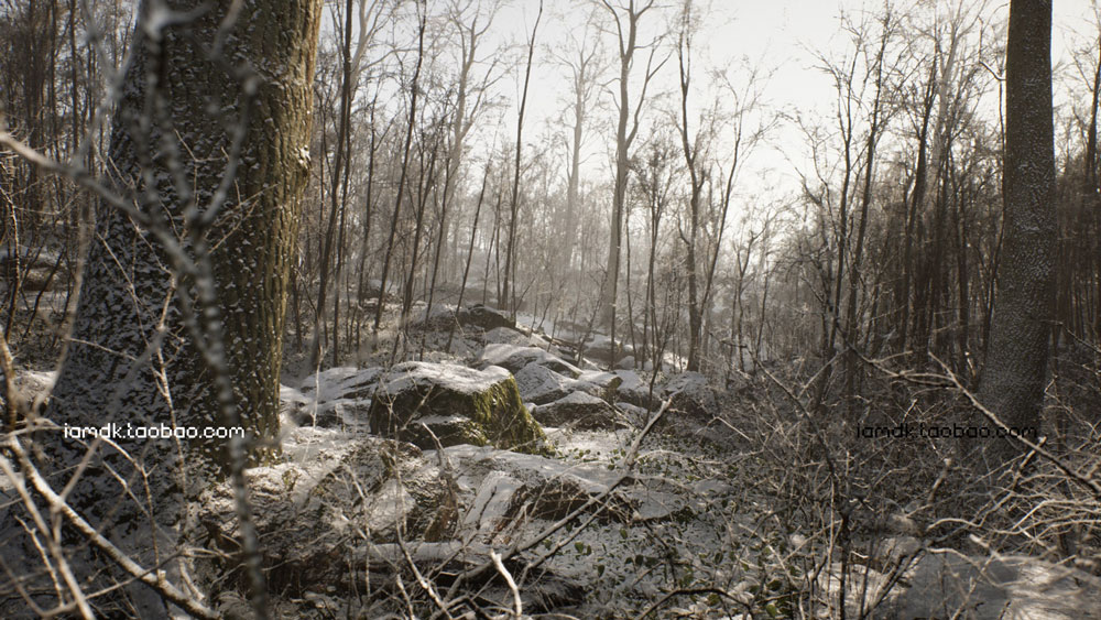 UE模板 森林林地植被河流岩石3D模型素材 Unreal Engine – Procedural Forest_img_2