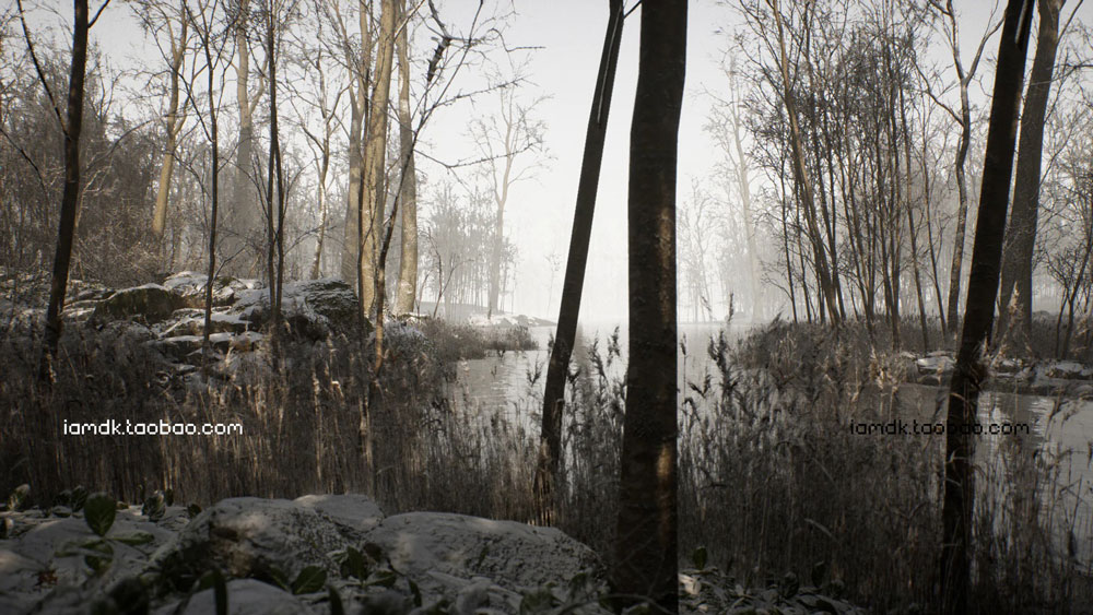 UE模板 森林林地植被河流岩石3D模型素材 Unreal Engine – Procedural Forest_img_2