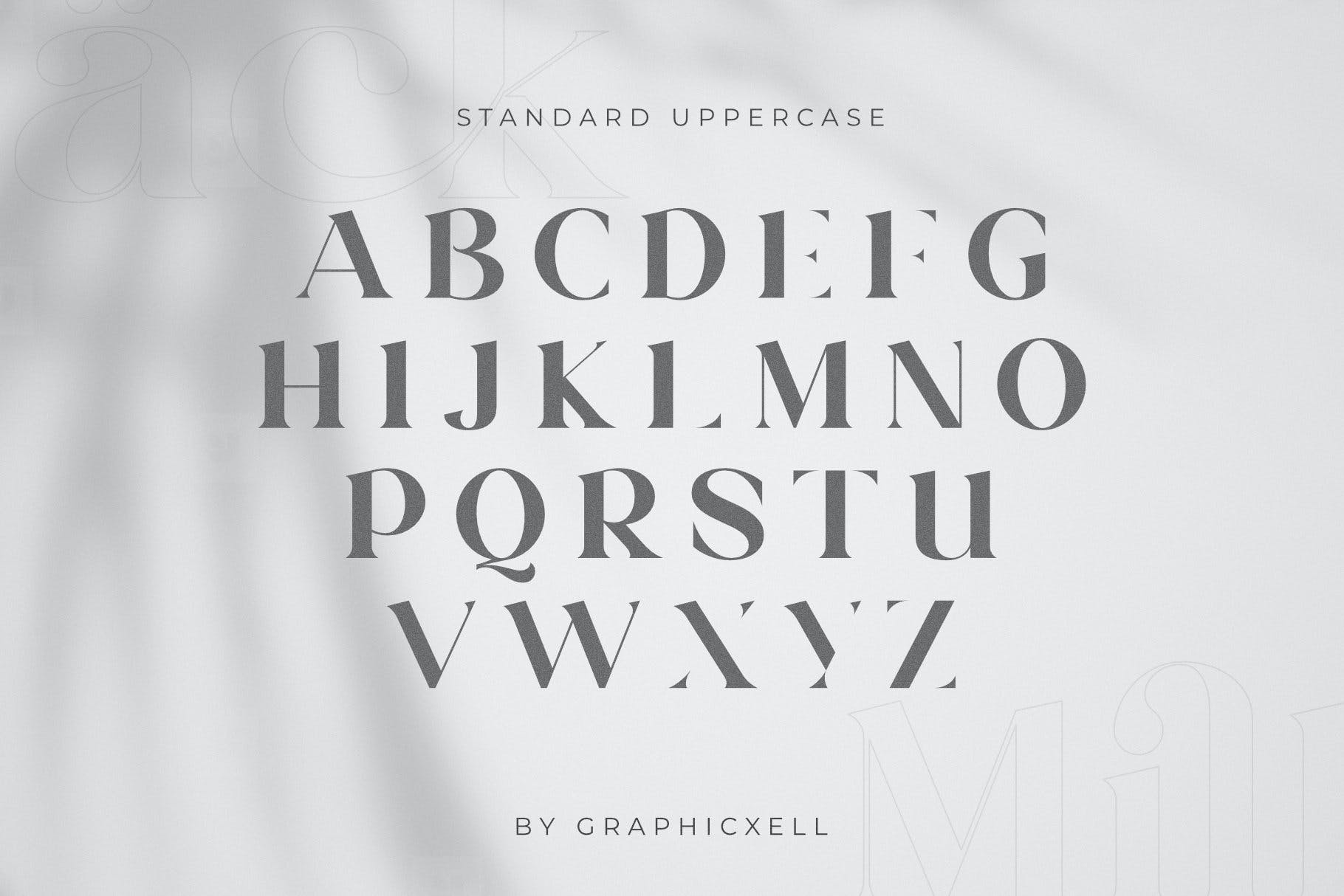 现代时尚品牌广告徽标logo设计衬线英文字体 Milkipa Stylish Font_img_2