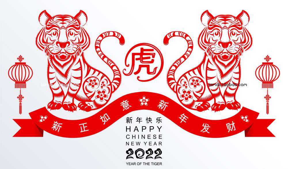 2022年新年春节农历虎年花卉祥云剪纸风矢量设计素材 Chinese New Year 2022 Of The Tiger_img_2