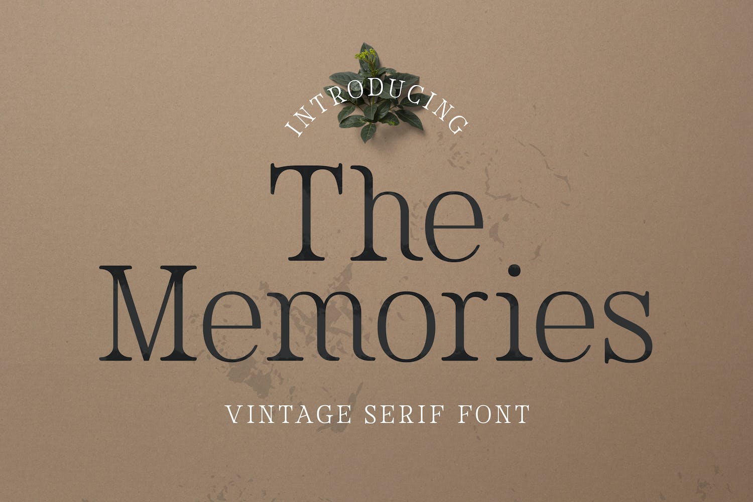 复古杂志海报徽标logo设计衬线英文字体 The Memories_img_2