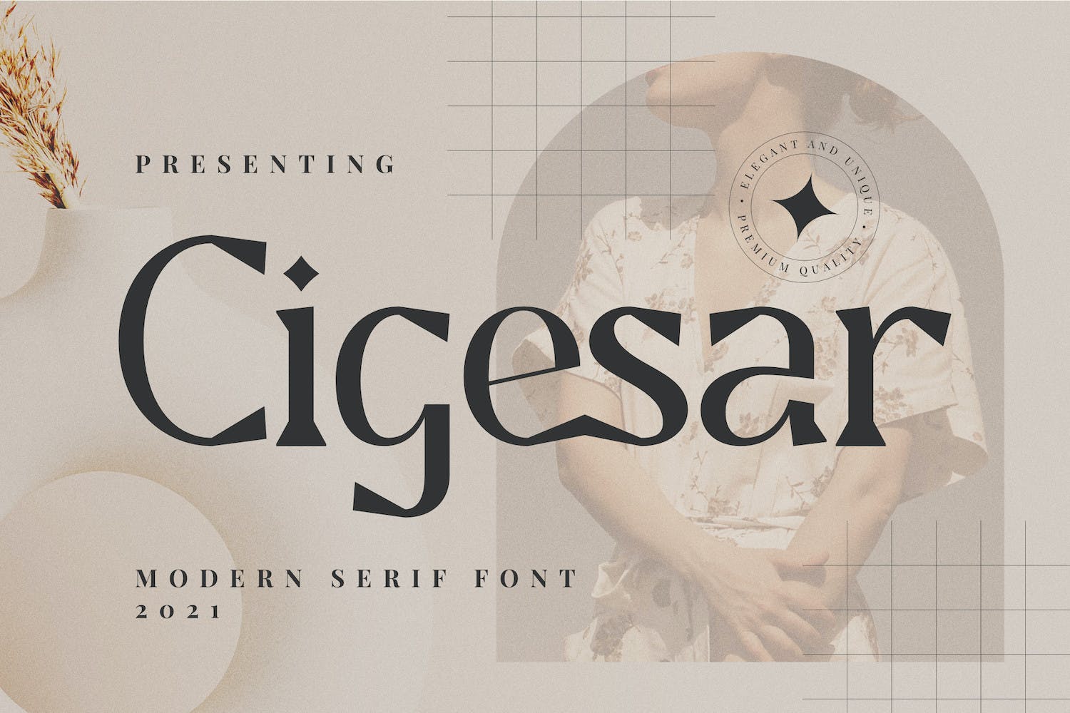 现代优雅品牌标签徽标logo设计衬线英文字体 Cigesar Font_img_2