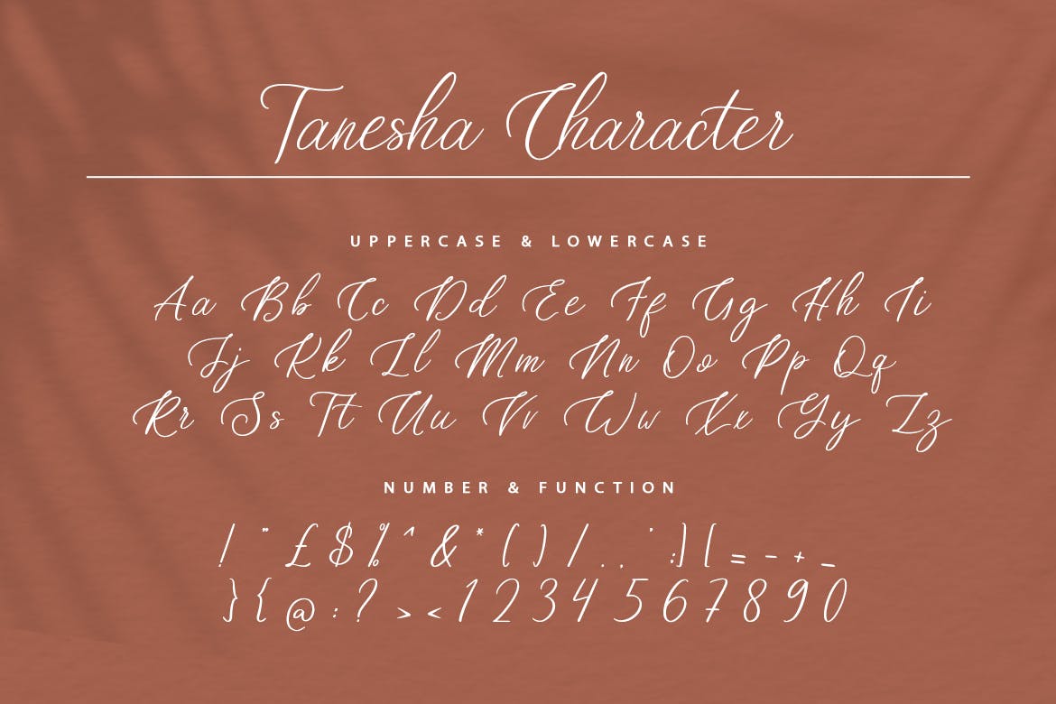 现代品牌海报徽标logo设计手写英文字体 Tanesha Handwritten Script Font_img_2