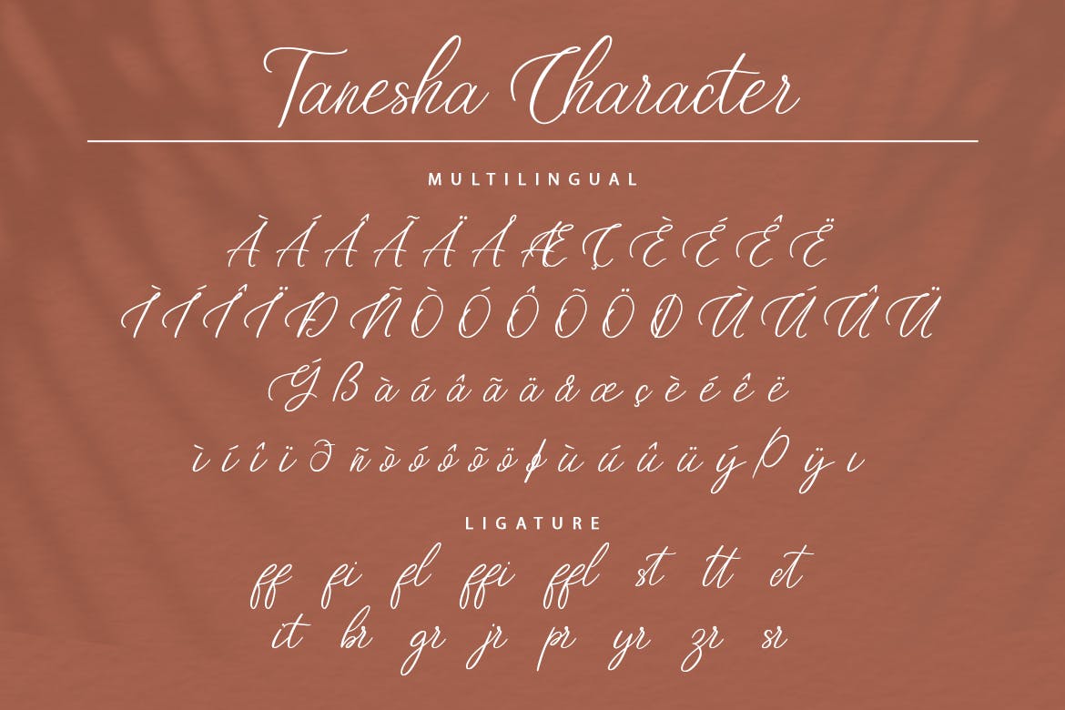 现代品牌海报徽标logo设计手写英文字体 Tanesha Handwritten Script Font_img_2