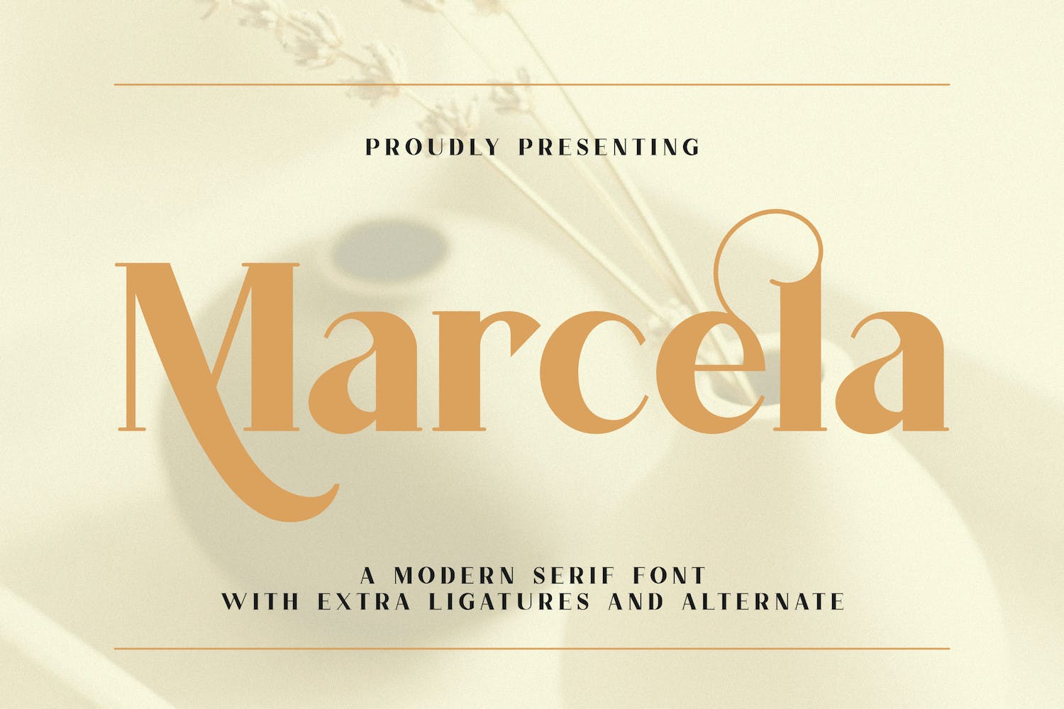 现代优雅品牌广告徽标logo设计衬线英文字体 Marcela Font_img_2